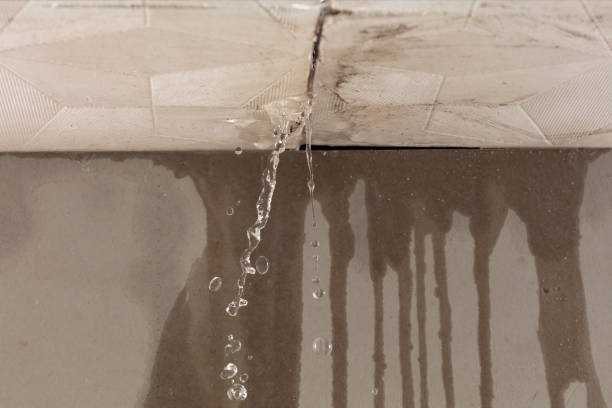 Professional Water Damage Repair technician working in Buckingham, PA